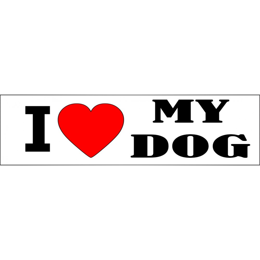 Bumper Sticker (3"x11.5") with Logo