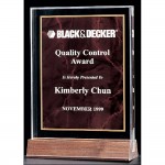 Custom Etched Acrylic Award with a Ruby Marble Center 9 5/8 inch