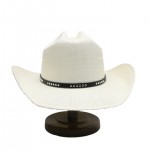 Branded Straw Western Cowboy Hat