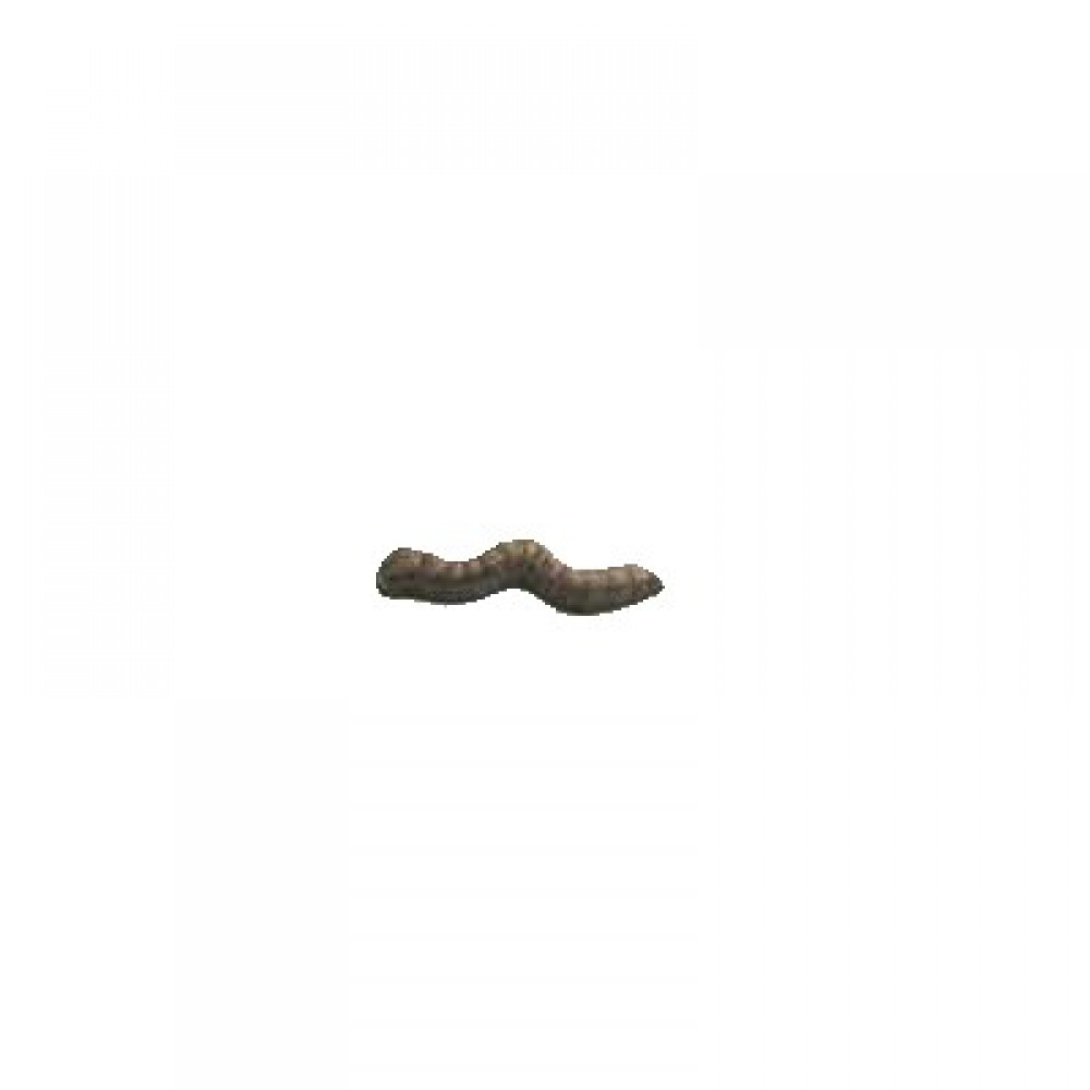 Promotional 0.16 Oz. Chocolate Worm