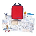 Custom Lifeline AAA Large Hard-Shell Foam First Aid Kit, 85 Piece