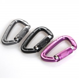 Logo Branded 24KN Auto Locking Climbing Carabiner Clip