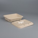 Custom Printed Biodegradable disposable lunch box