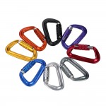 Personalized Locking Carabiner Clip