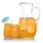 Geneva Pitcher & 2 Bretton Beverage with Logo